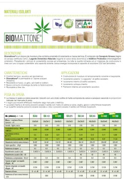 Blocchi canapa e calce 50x20x8 cm